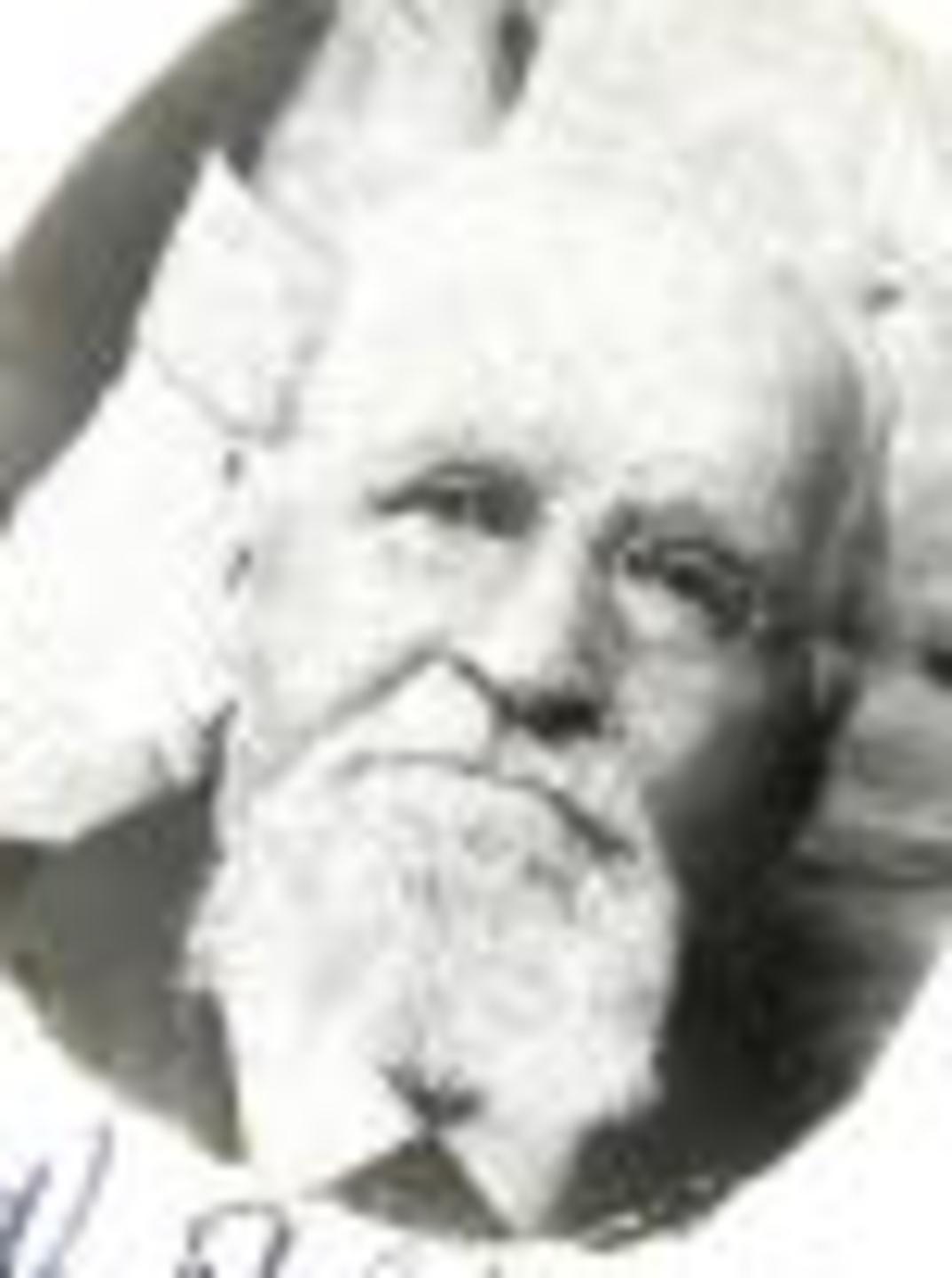 William Walker Robinson (1833 - 1923) Profile